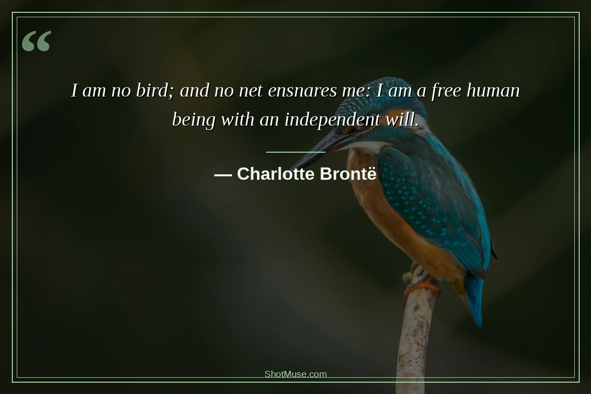 Strong confident woman quote image - Charlotte Brontë - I am a free human being with an independent will - HD photo
